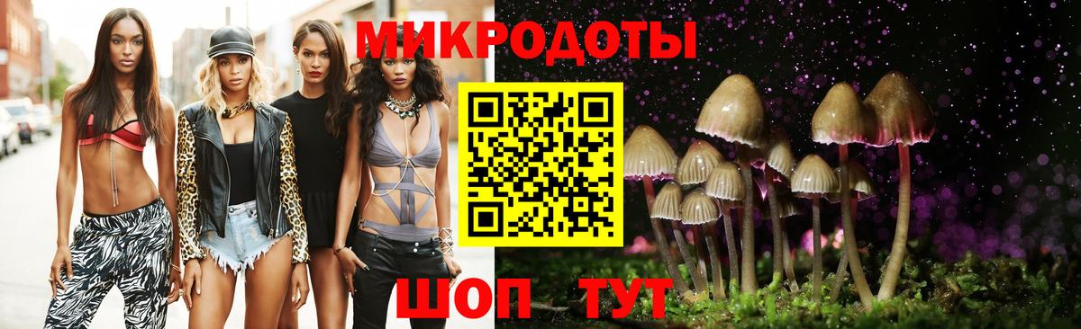 Псилоцибиновые грибы Cubensis Фурманов